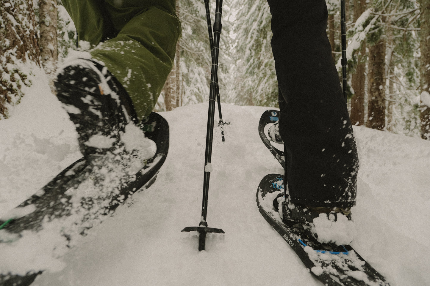 Schneeschuh-Schnuppertour Sudelfeld