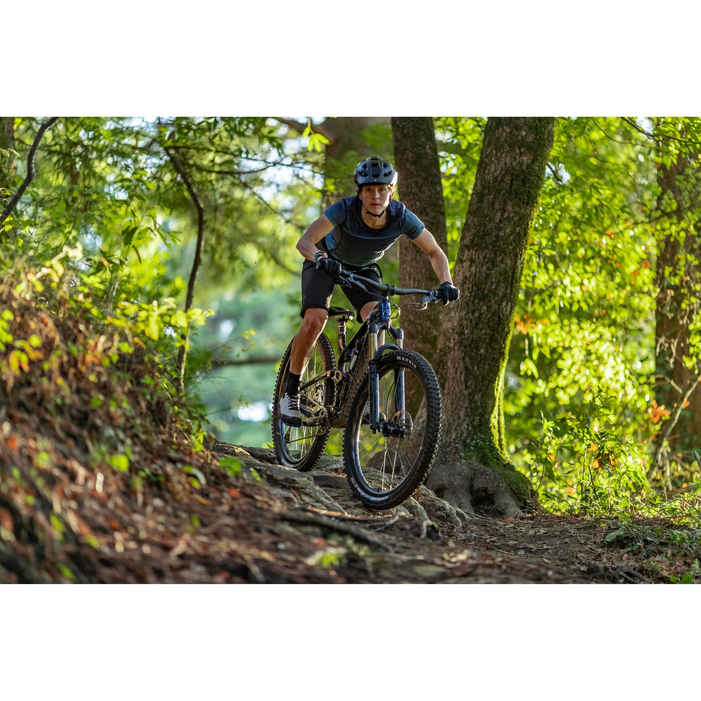 Fahrtechnik-Training (E-)MTB