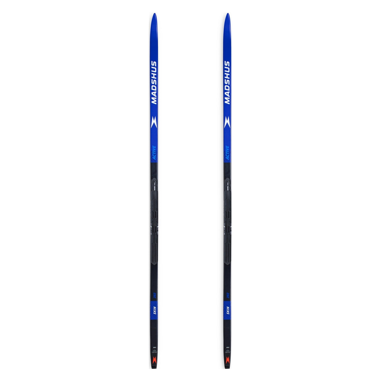 Madshus Active Skin 2022/23 inkl. Rottefella Performance Bindung